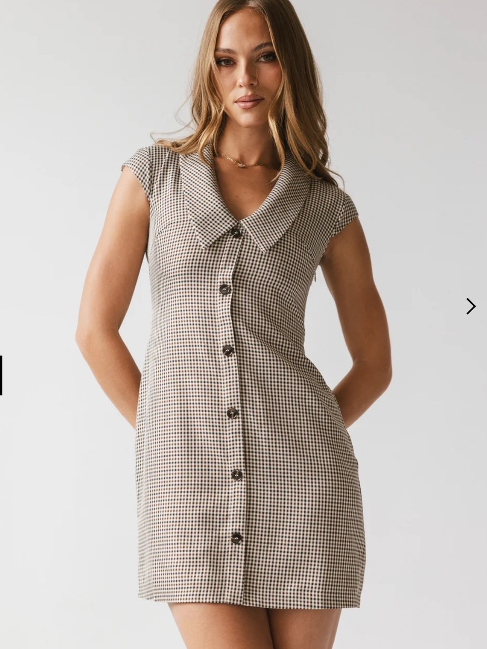 bohme Checked Button-Front Mini Dress in Beige and Black